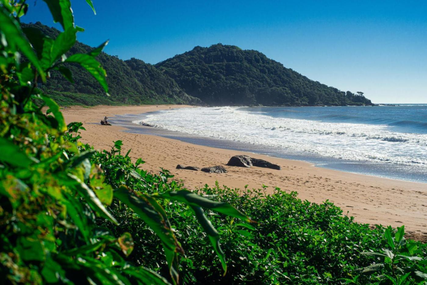 Ravi Beach - Biofilica Casa de hóspedes